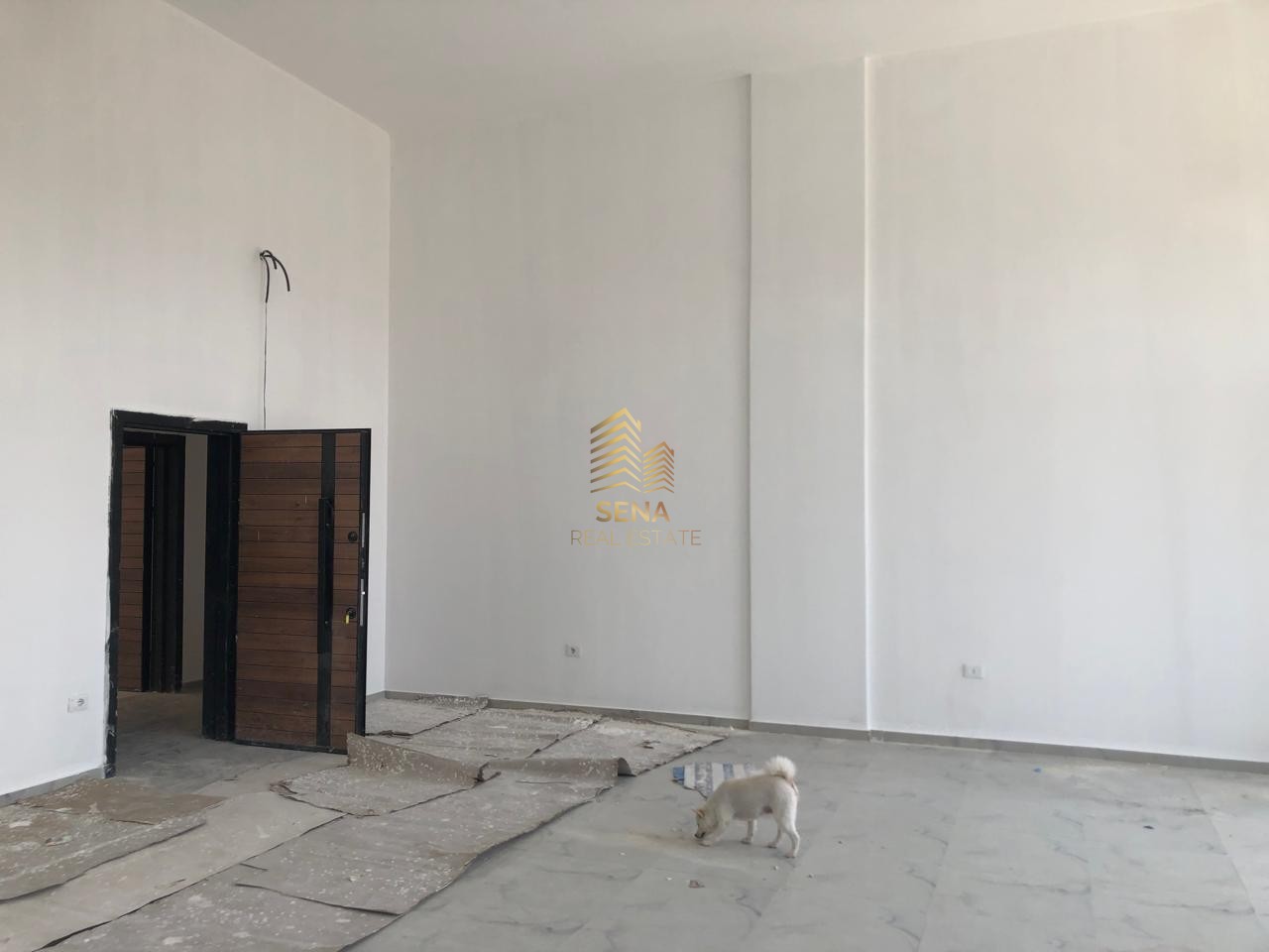 Shitet, Ambient Biznesi, Xhamllik – ish Profarma, 300,000 Euro
