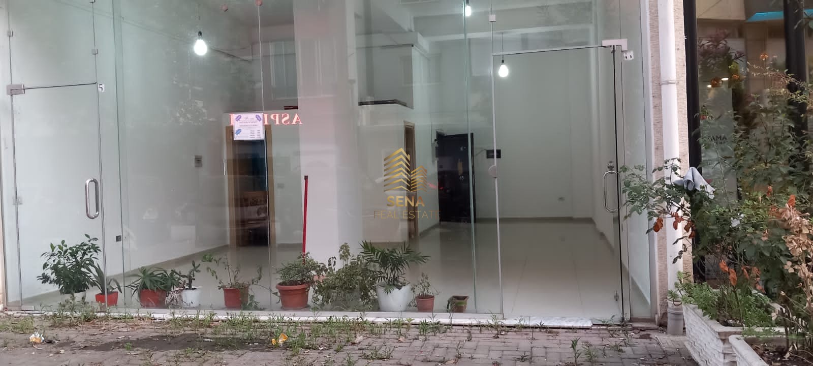 Qera, Ambient Biznesi, Yzberisht – Bulevardi Migjeni, 500 Euro/Muaj
